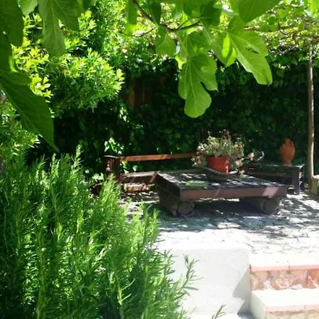 Paradise In With Pool And Jacuzzi * Mirandilla